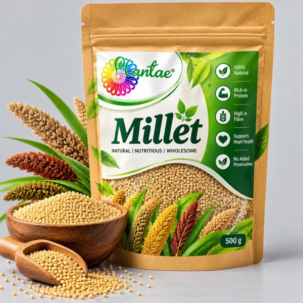 Ragi Premix Veg