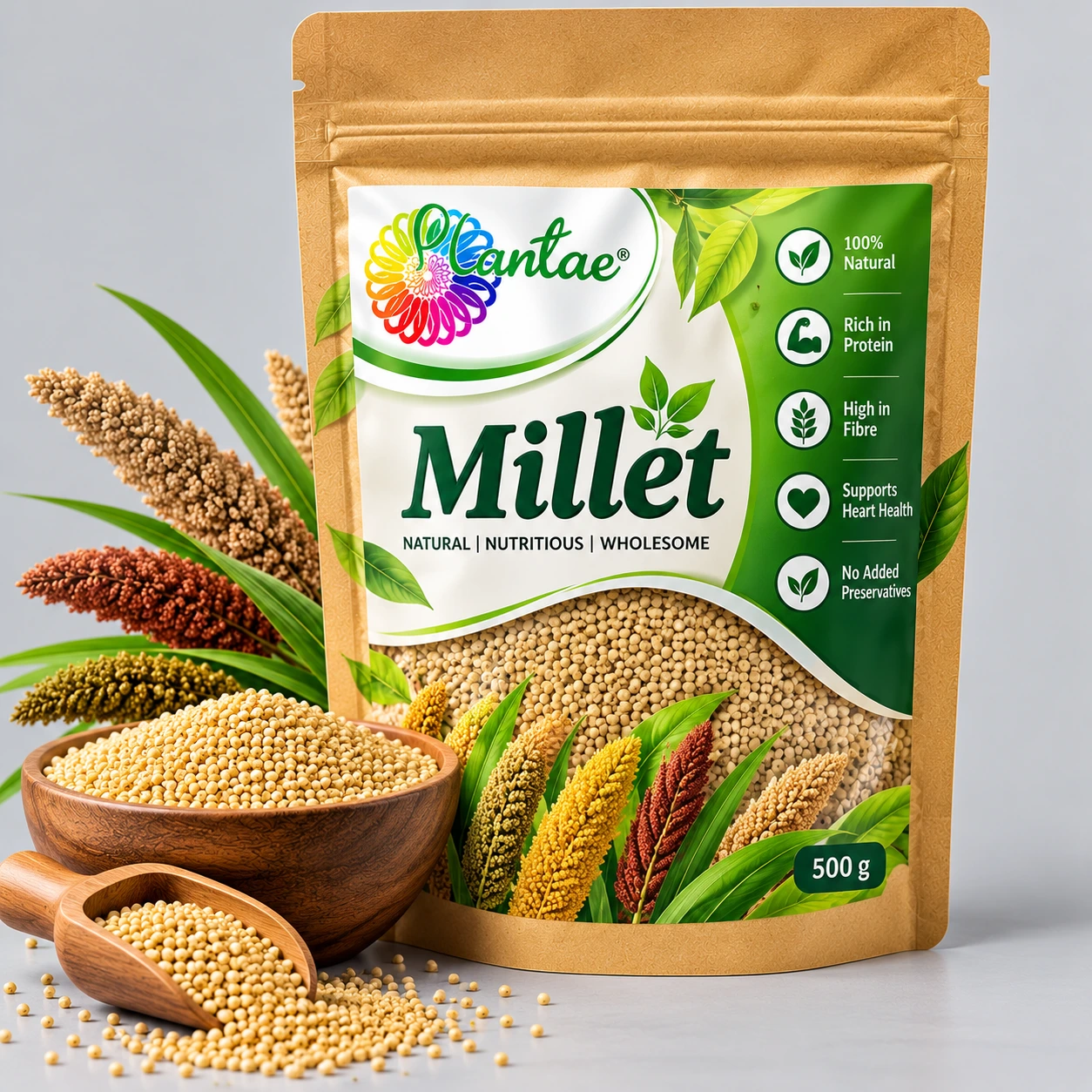 Plantae Ragi Premix Veg - Natural Millet Porridge Mix